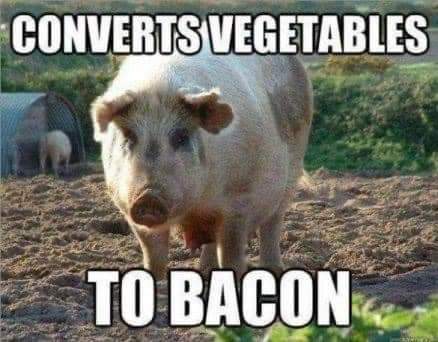 FB_IMG_1696342692272