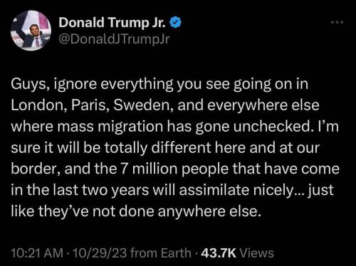 DJT Junior Say it isn't so