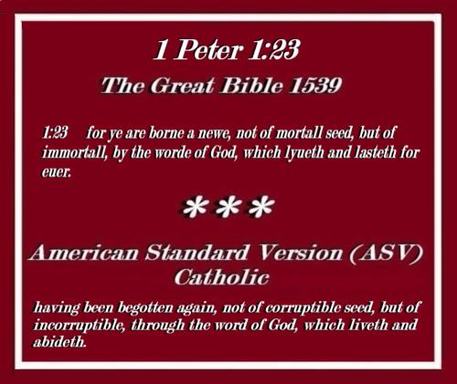 8525cc250a8dbffb48e64b145333549d_768x0