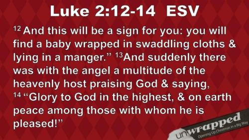 Luke 2_12-14