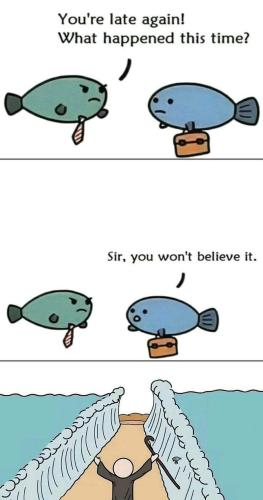 FB_IMG_1696596537337