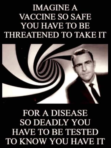 FB_IMG_1696446722281