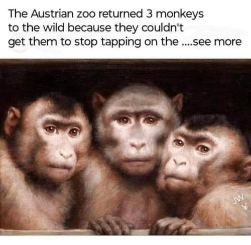 FB_IMG_1697601252646