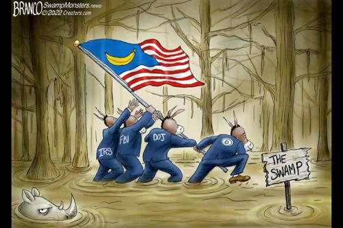 The Swamp Banana republic