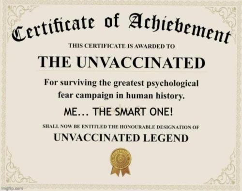 FB_IMG_1698463433125