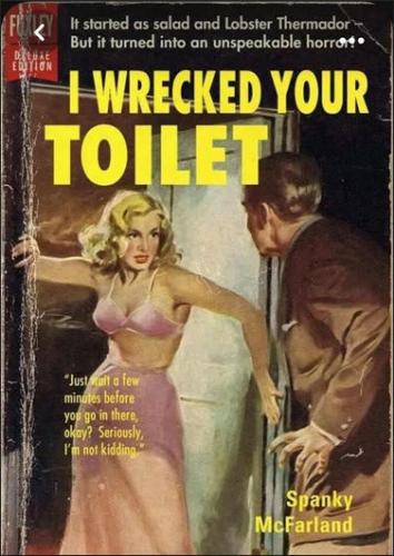 i wrecked your toilet