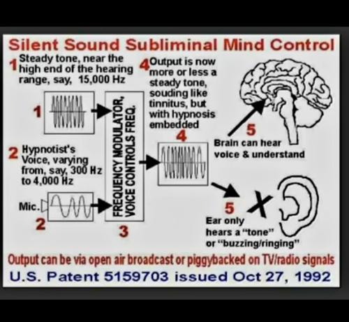 Screenshot_20231019_121527_Photos