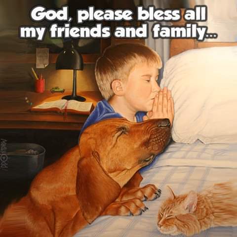FB_IMG_1697464863506