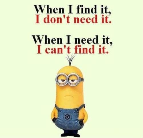 393162423_733518168817411_576659497855600422_n