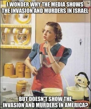 illegal immigration356