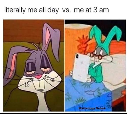 FB_IMG_1697194712060