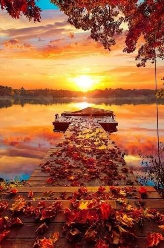 FB_IMG_1698067535128
