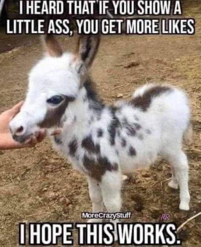 FB_IMG_1698166859105