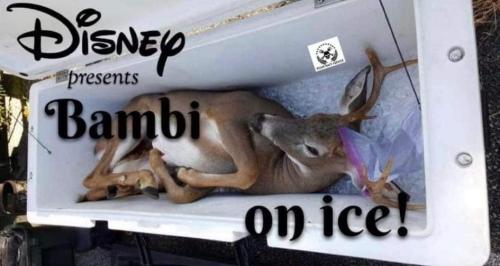 FB_IMG_1697908310241