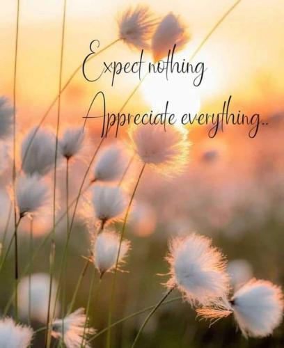 FB_IMG_1698375770738