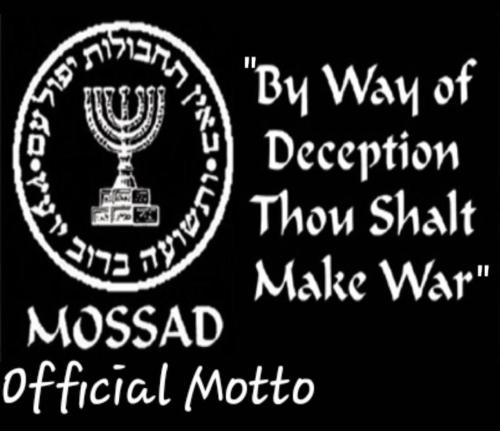 IMG_20231016_111225_207