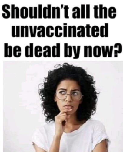 FB_IMG_1696372904493