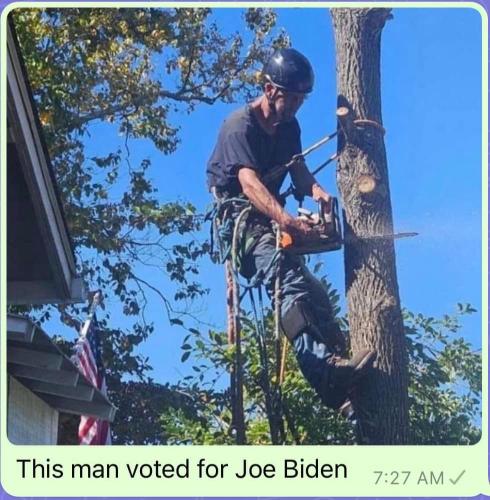 ED3282F5-B38B-4576-8FFB-CCFCDC1868AA