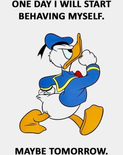 391653653_641805131481035_7454416317570742929_n