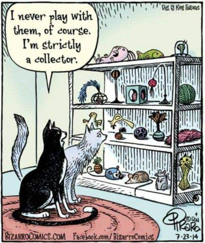 FB_IMG_1698065319665