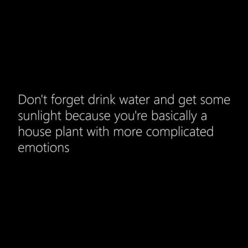 FB_IMG_1697962805843