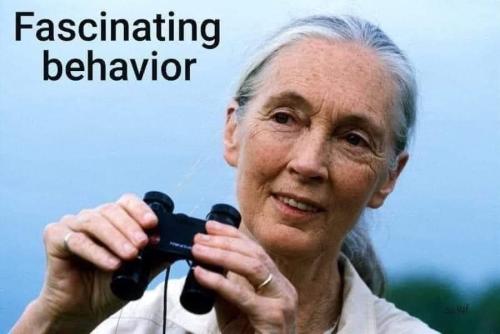 behavior fascinating anthropology behavioral sciences
