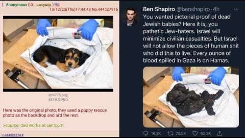 IMG_20231013_093904_438