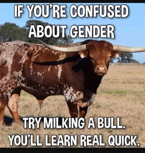 Screenshot_20231004_161056_YouTube