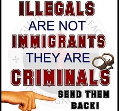 illegals me