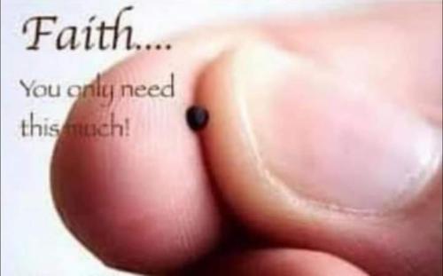 FB_IMG_1697142764342