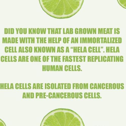 Lab Meat Cancer