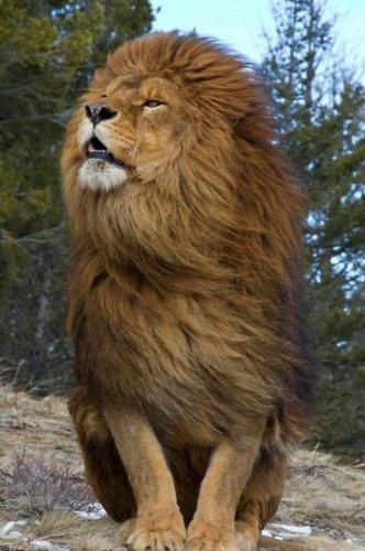 FB_IMG_1696346266110