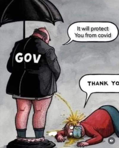 FB_IMG_1696416135225