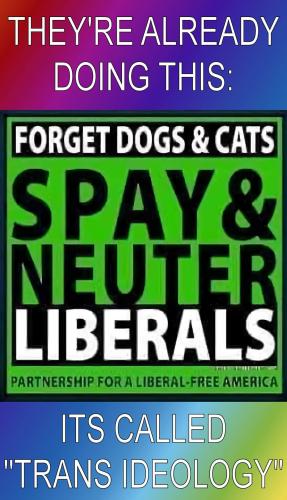 FB_IMG_1698789610628