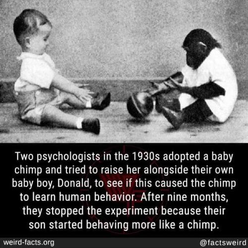 FB_IMG_1697465715416