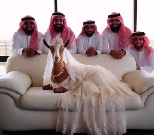 FB_IMG_1698730701677