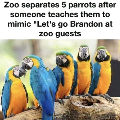 FB_IMG_1696385423787