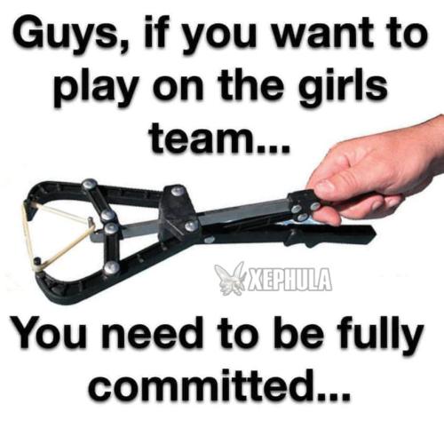 xephula_c104892c6576f5a1fb394ac95f3bcbdf