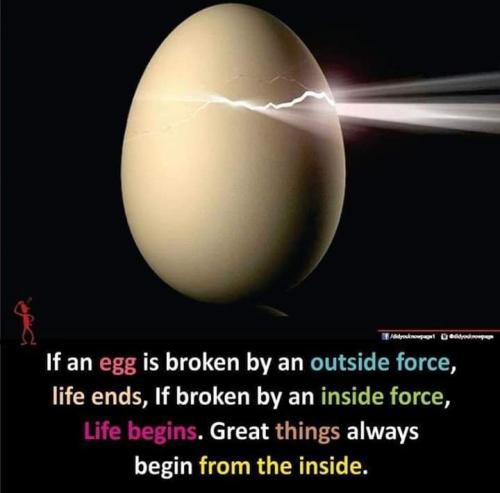 FB_IMG_1696342974962