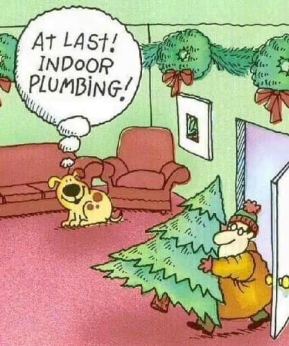 FB_IMG_1697730356066
