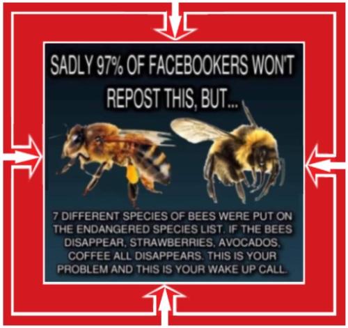 1903829_t3gg82c2vi32rxu_full