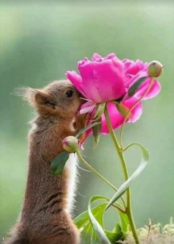 Screenshot_2023-09-03-23-48-31_kindlephoto-13315029