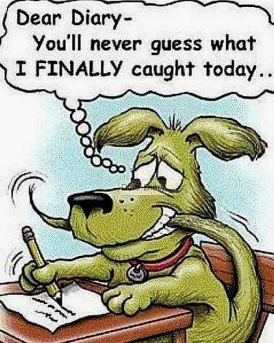 FB_IMG_1697249348735