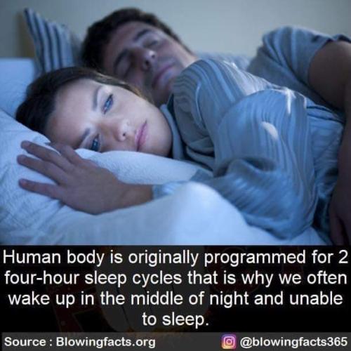 FB_IMG_1697017701845