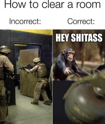 FB_IMG_1697352264702