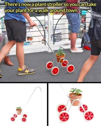 FB_IMG_1697732178896