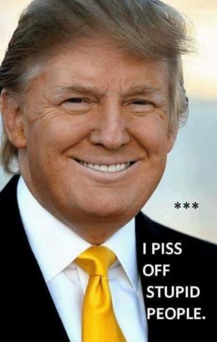 FB_IMG_1697203534515
