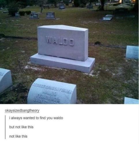 FB_IMG_1698417286191