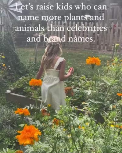 Screenshot_20231005_222800_Facebook