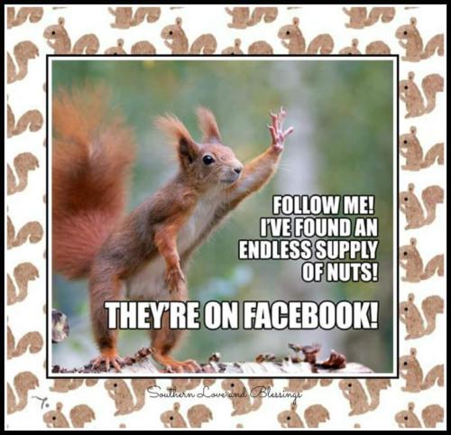 FB_IMG_1697359285155